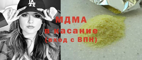 индика Алексин