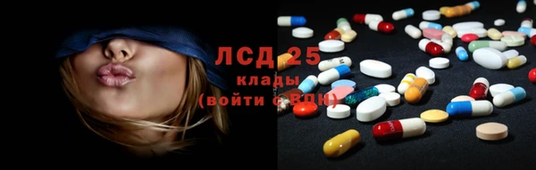 индика Алексин