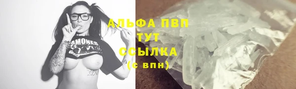 индика Алексин