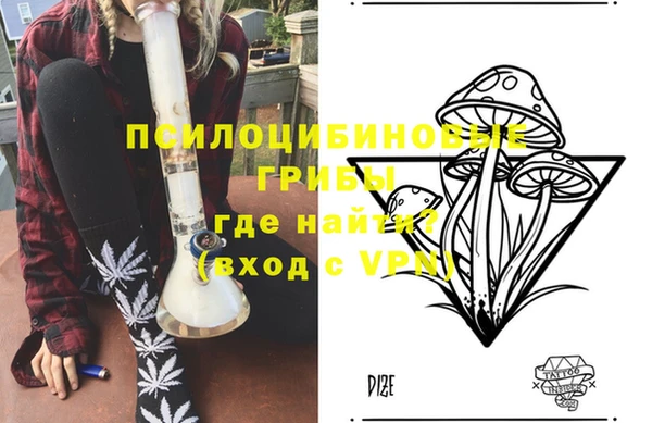 индика Алексин