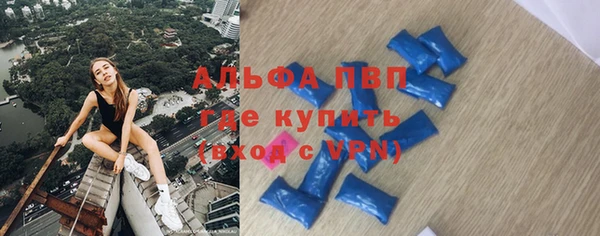 индика Алексин