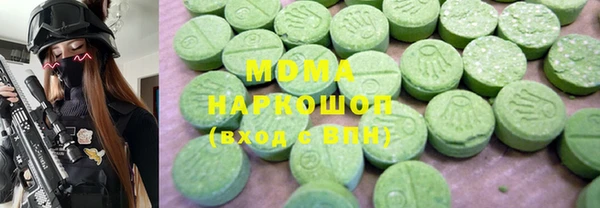 индика Алексин