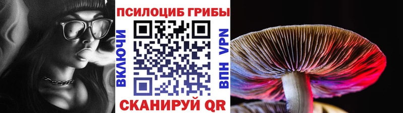 цены   hydra ONION  Галлюциногенные грибы MAGIC MUSHROOMS  Мирный 